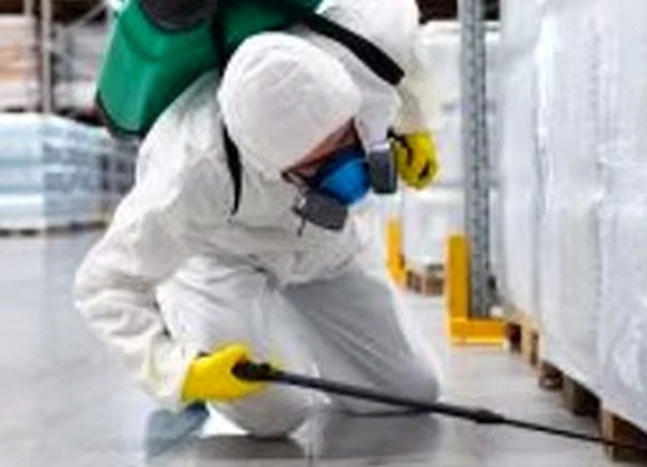 Profissional realizando controle de pragas
